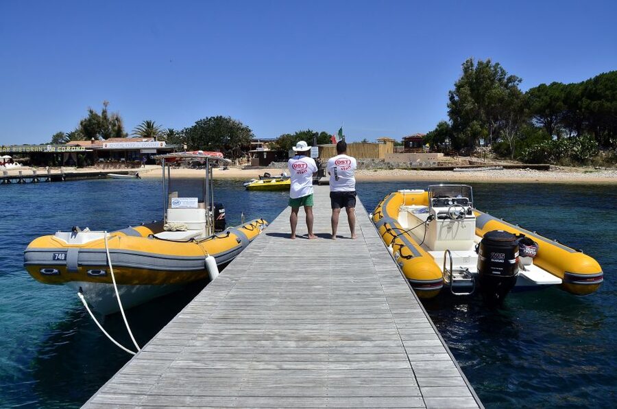 Olbia: Tavolara and Molara Snorkeling Boat Tour - Swimming above the Chrisso shipwreck