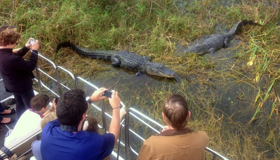 Orlando: Everglades Airboat Ride and Wildlife Park Ticket - The Wildlife Park After the Boat