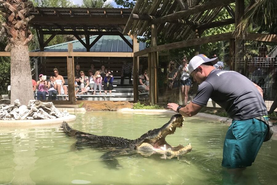 Orlando: Everglades Airboat Ride and Wildlife Park Ticket - Shows, Food, and Extra Time on the Grounds