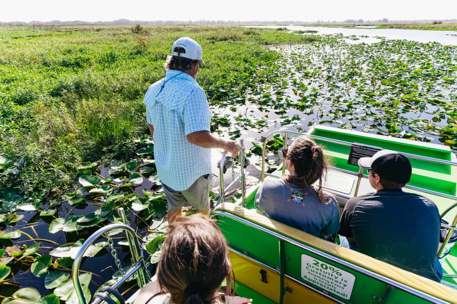 Orlando: Florida Everglades Wildlife Airboat Tour - Key points to know before you go
