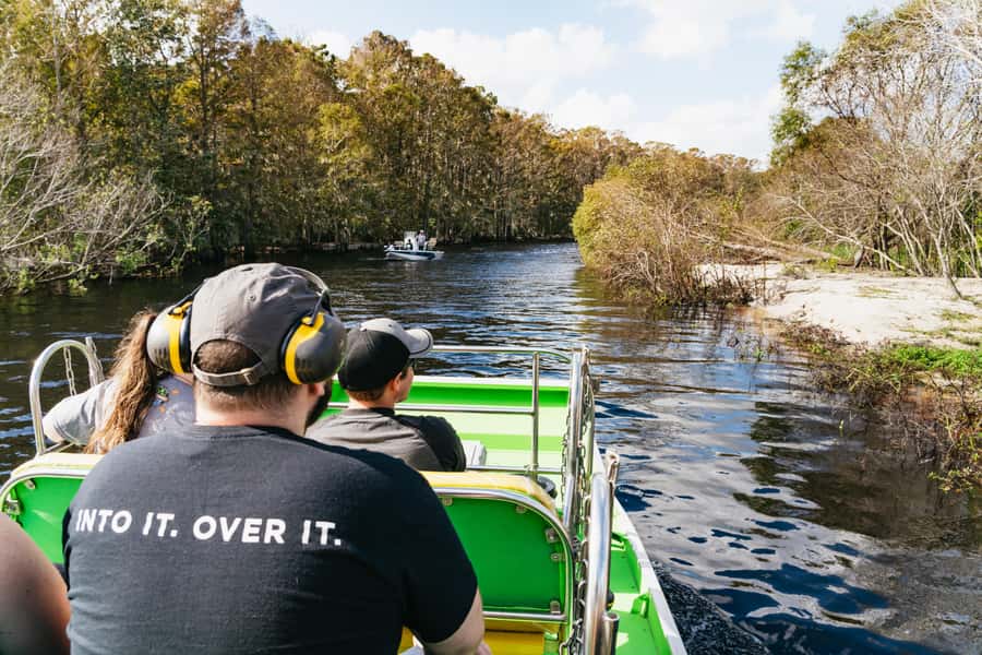 Orlando: Florida Everglades Wildlife Airboat Tour - Searching for alligators in the wild