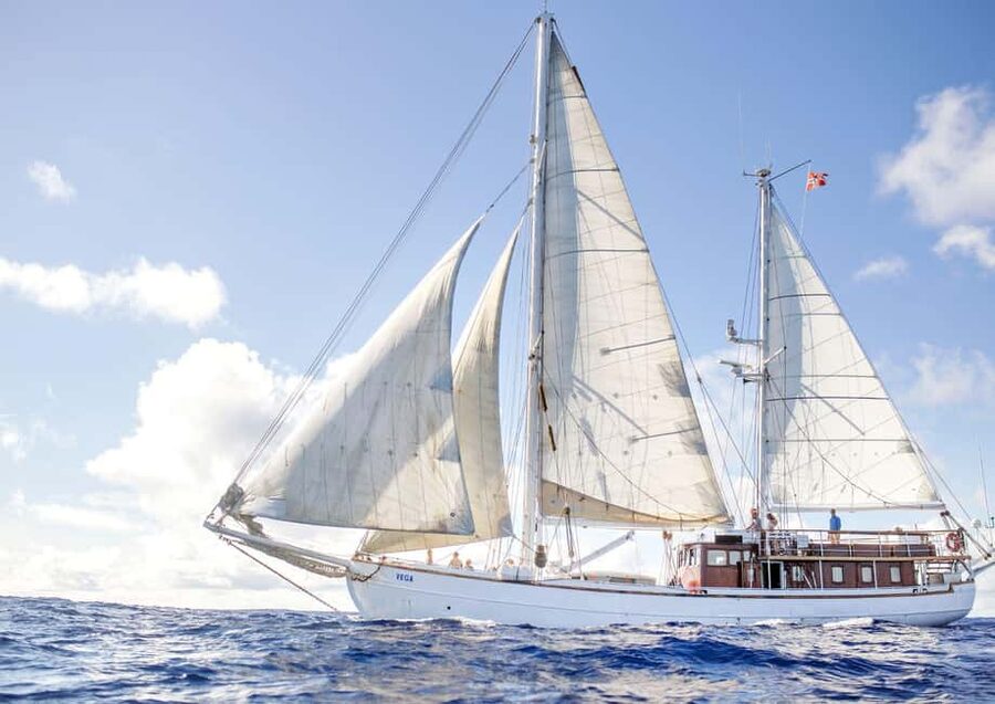 Oslo: Oslofjord Fjord-Style Dinner Cruise - The return after dark