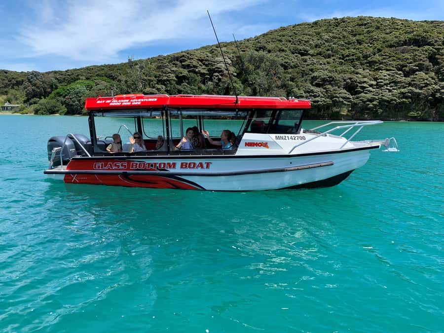 Paihia: Glass Bottom Boat Tour to the Hole in the Rock - Why this Paihia boat trip works so well