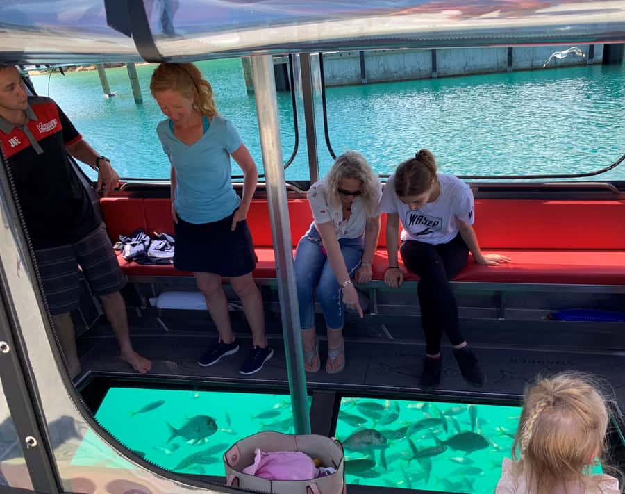Paihia: Glass Bottom Boat Tour to the Hole in the Rock - Golden beaches, cliffs, and quiet coves