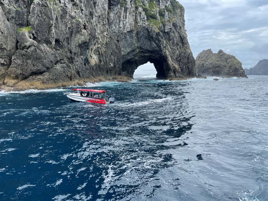 Paihia: Glass Bottom Boat Tour to the Hole in the Rock - Deep Water Cove and the Okahu Passage