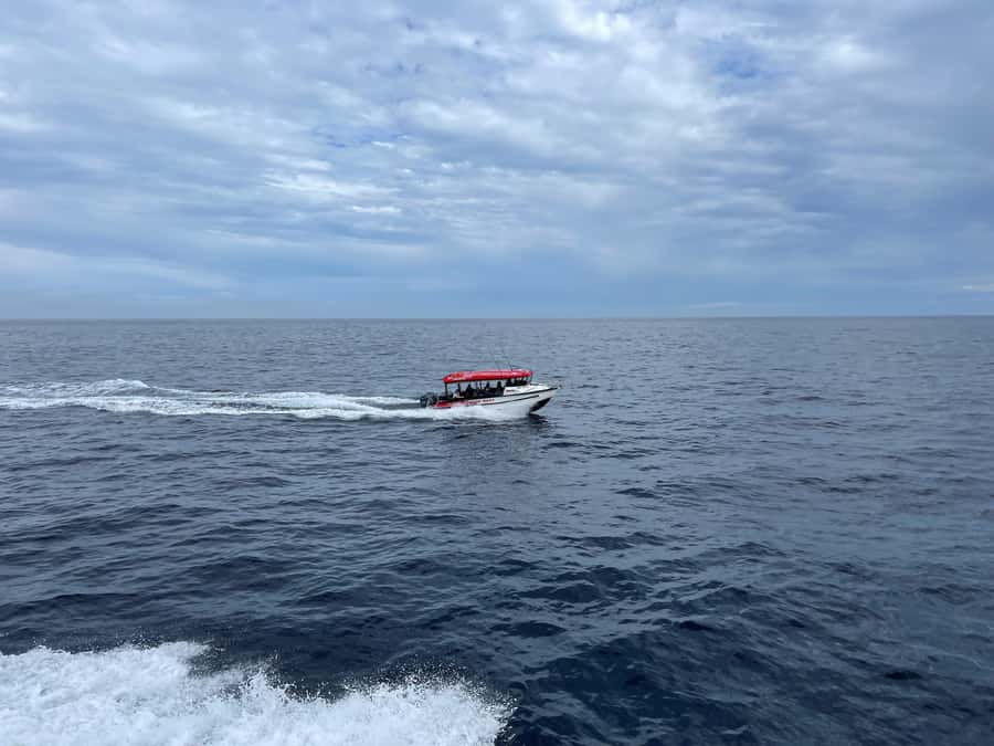 Paihia: Glass Bottom Boat Tour to the Hole in the Rock - Is $74 good value for 150 minutes?