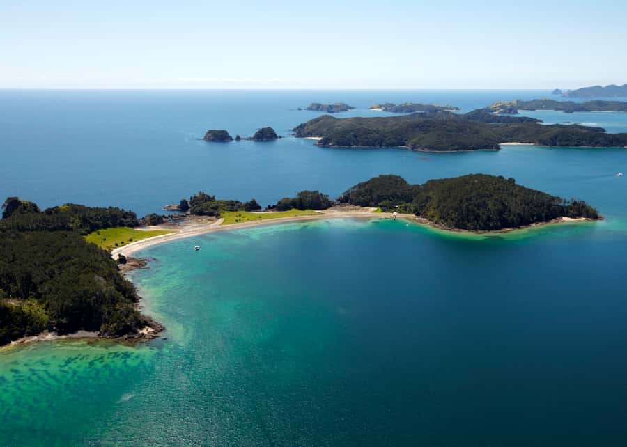 Paihia/Russell: Hole in the Rock Cruise with 2 Island Stops - Who should book this Bay of Islands trip?