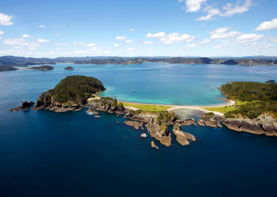 Paihia/Russell: Hole in the Rock Cruise with 2 Island Stops - Wildlife watching on the return trip
