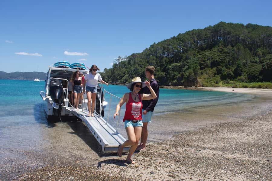 Paihia/Russell: Hole in the Rock Cruise with 2 Island Stops - Is $90 a fair price?