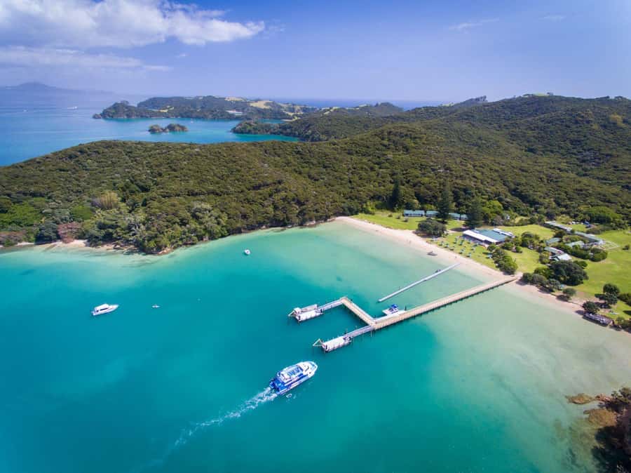 Paihia/Russell: Hole in the Rock, Dolphins & Island Cruise - The best parts of the cruise at a glance