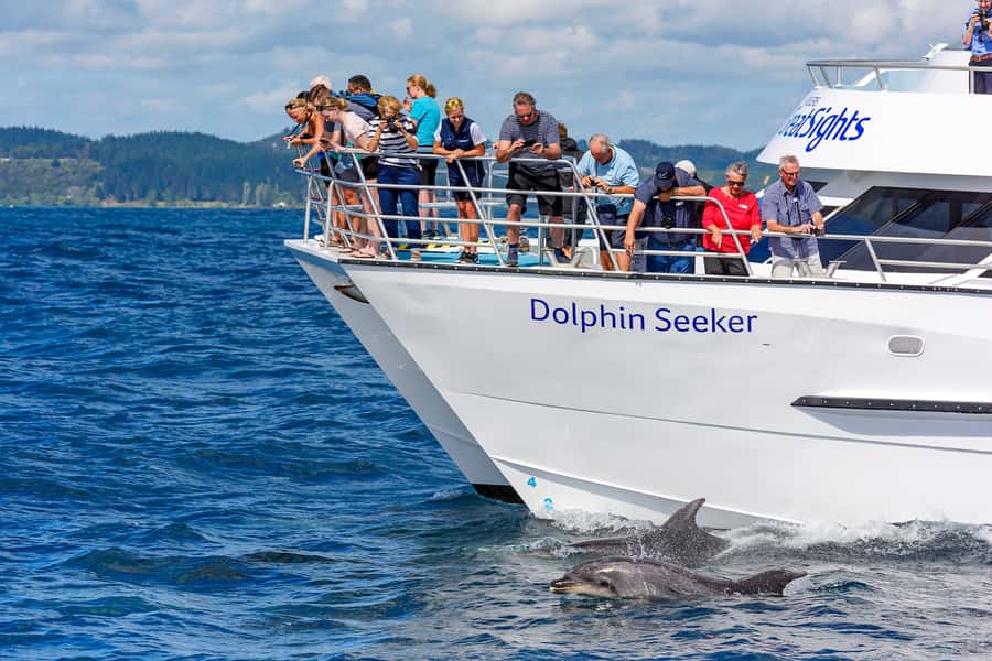 Paihia/Russell: Hole in the Rock, Dolphins & Island Cruise - Leaving Paihia or Russell for open water