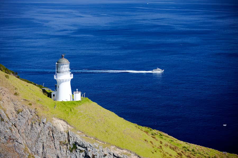 Paihia/Russell: Hole in the Rock, Dolphins & Island Cruise - Should you book it?