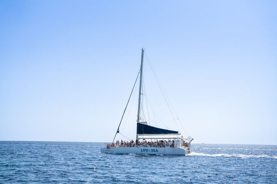 Palma: Catamaran Cruise with Swimming and Snorkelling - Setting sail from Playa del Arenal