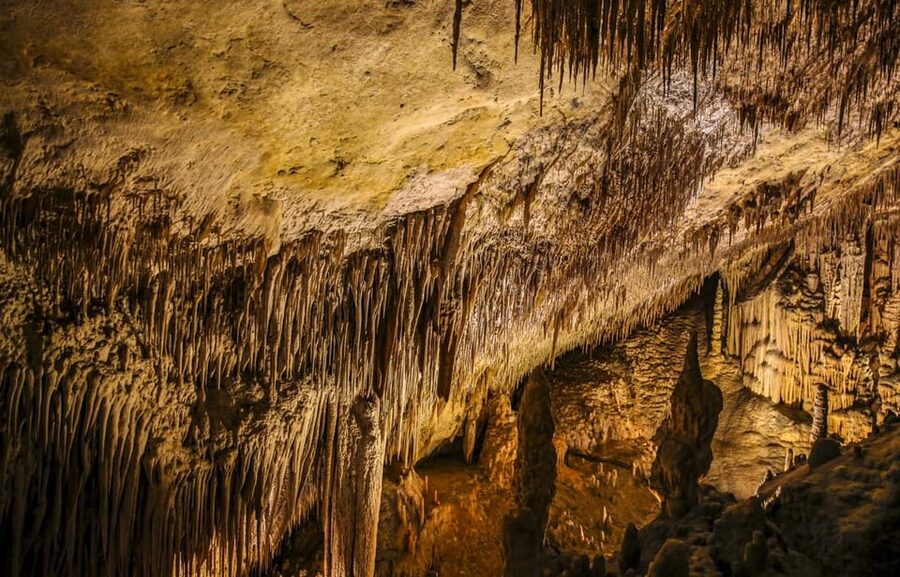 Palma: Caves of Drach Entrance, Music Concert, and Boat Trip - Lake Martel and the classical concert