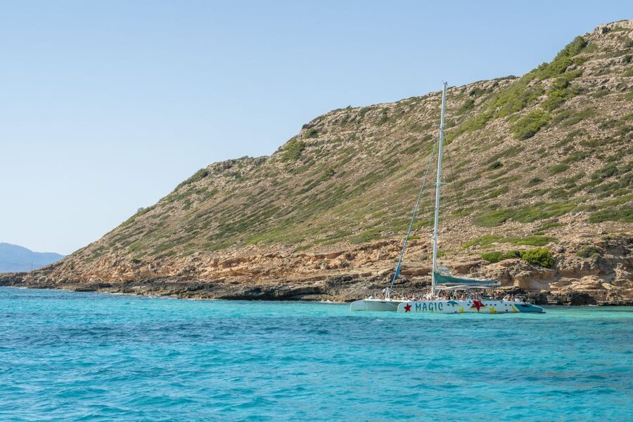 Palma de Mallorca: 5-Hour Catamaran Cruise with Lunch & Swim - Who Should Book This Palma Cruise?