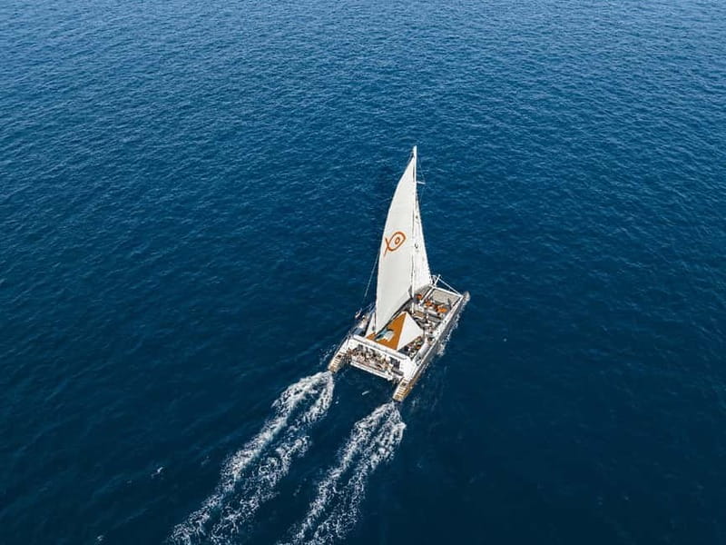 Palma de Mallorca: Half-Day Catamaran Tour with Buffet Meal - Key points to know before booking