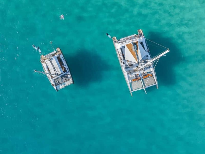 Palma de Mallorca: Half-Day Catamaran Tour with Buffet Meal - Leaving Palma by catamaran