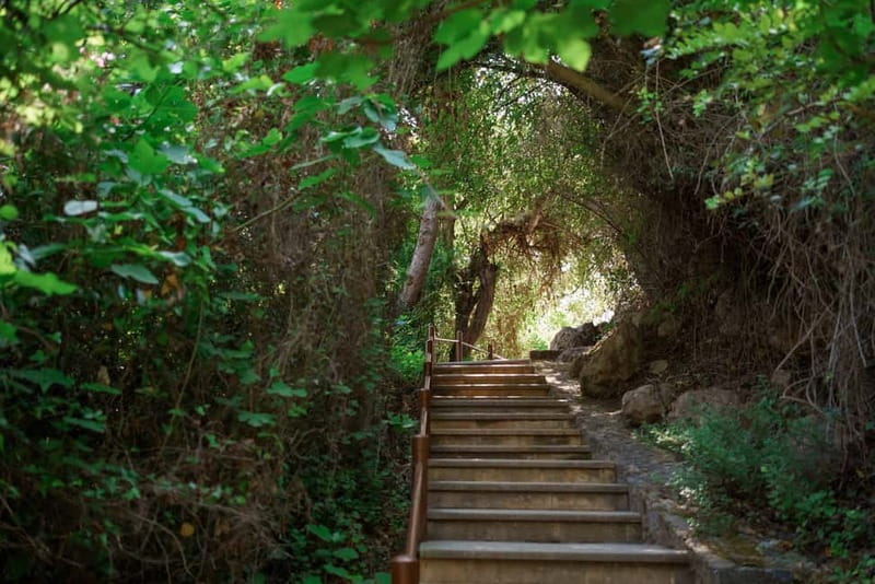 Paphos/Akamas: Blue Lagoon Bus & Boat Tour with Water Slide - Why this Paphos day trip works so well