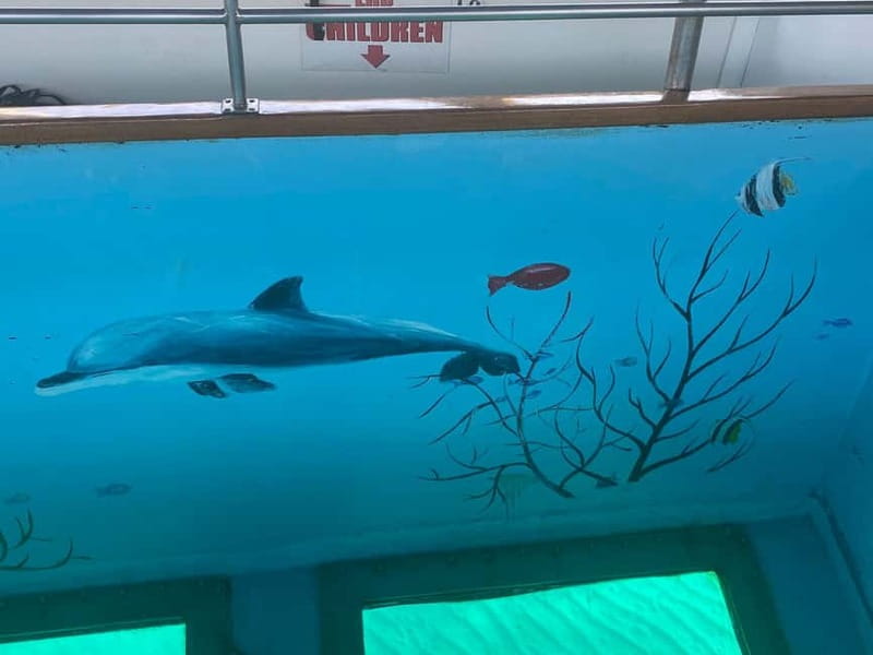 Paphos: Glass Bottom Boat Trip with Swimming or Snorkeling - Choosing between the three cruise styles