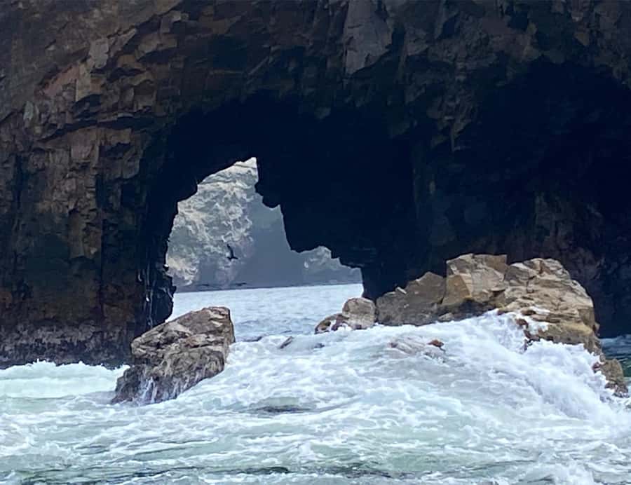 Paracas: Ballestas Islands Morning Boat Tour - The Ballestas Islands and their wildlife