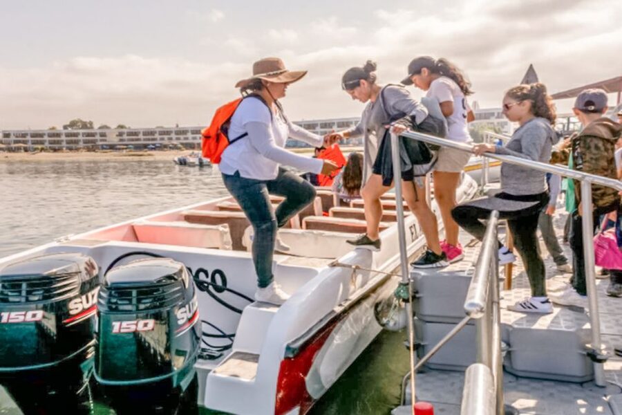 Paracas: Ballestas Islands Morning Boat Tour - Why the rock formations matter