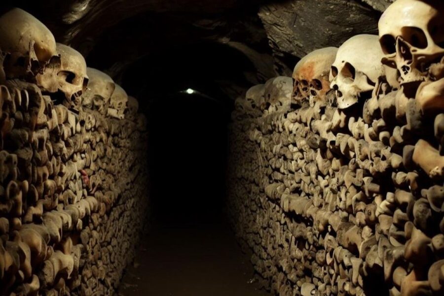 Paris: Catacombs, Audio Guide, and River Cruise Option - How the experience fits different kinds of visitors
