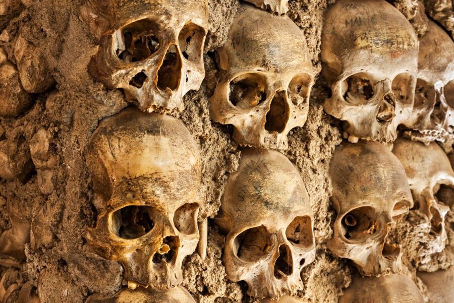 Paris: Catacombs Ticket and Seine River Cruise - Why the Catacombs are the stronger half