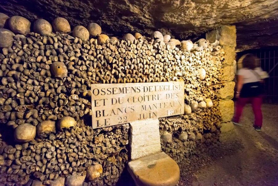 Paris: Catacombs Ticket and Seine River Cruise - The Seine cruise gives you Paris from a better angle
