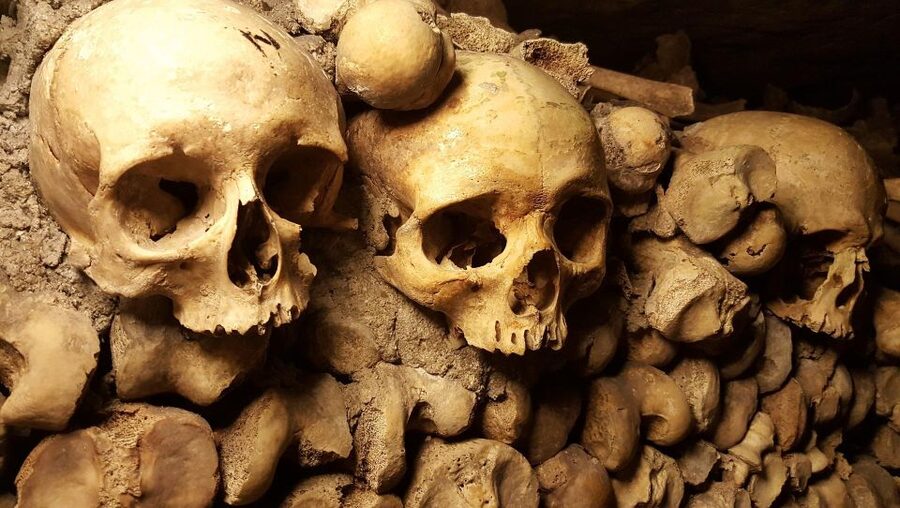 Paris: Catacombs Ticket and Seine River Cruise - Do not assume the cruise is skip-the-line