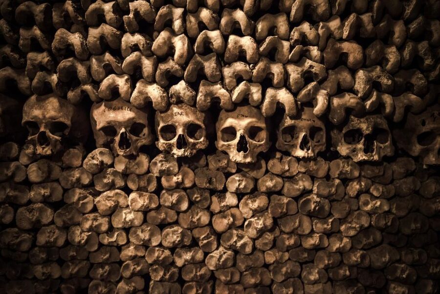 Paris: Catacombs Ticket and Seine River Cruise - Final verdict: book it for access, not for a guided tour