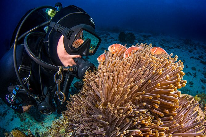 Passions of Paradise Great Barrier Reef Cruise by Catamaran - Reef education on the ride home
