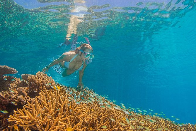 Passions of Paradise Great Barrier Reef Cruise by Catamaran - Is $192.94 good value?
