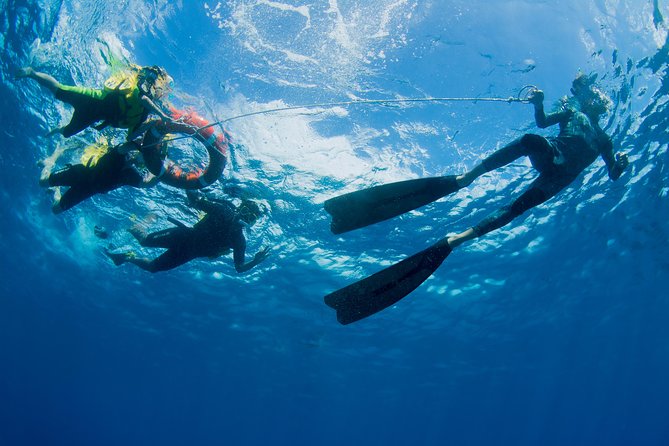 Passions of Paradise Great Barrier Reef Cruise by Catamaran - Weather, comfort, and the main drawbacks