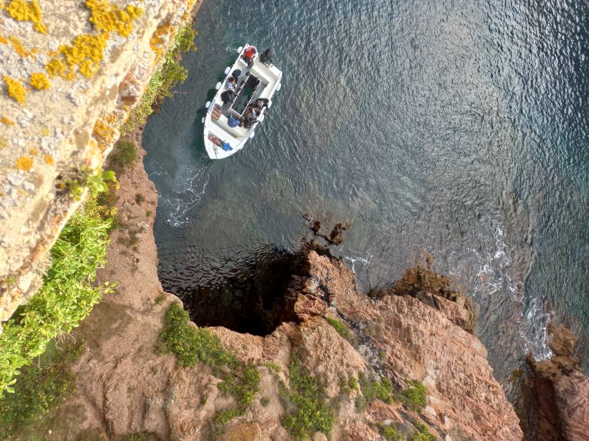 Peniche: Berlengas Roundtrip and Glass-Bottom Boat Cave Tour - São João Batista Fort and the island walk