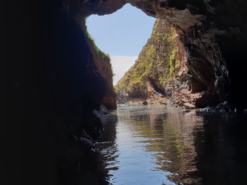 Peniche: Berlengas Roundtrip and Glass-Bottom Boat Cave Tour - Guides, languages, and how the day feels