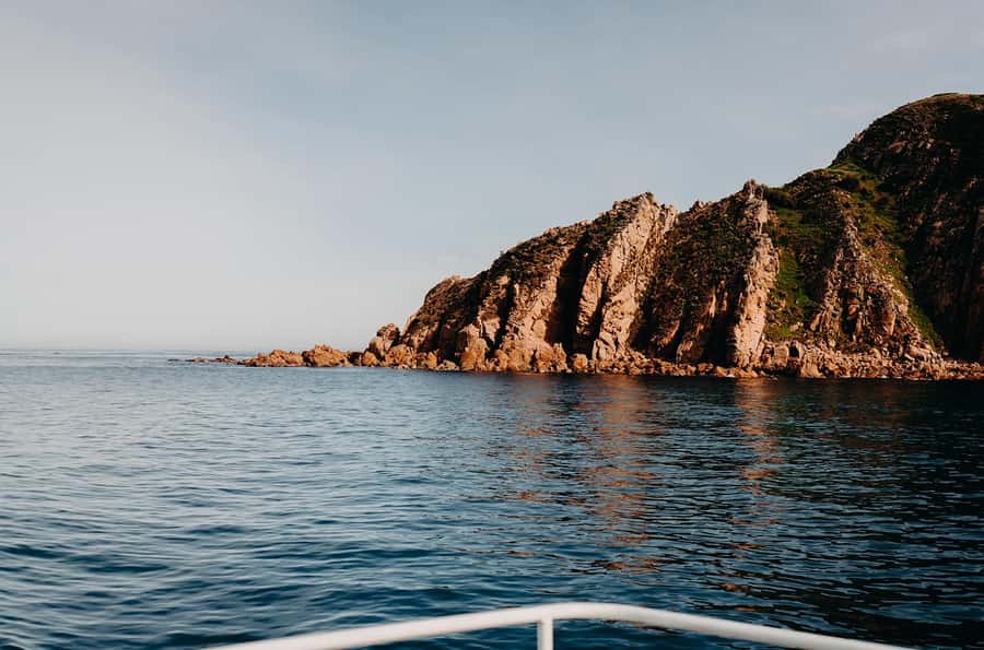 Phillip Island: 1-Hour Cape Woolamai Scenic Cruise - Searching for cormorants, gannets, seals, and dolphins