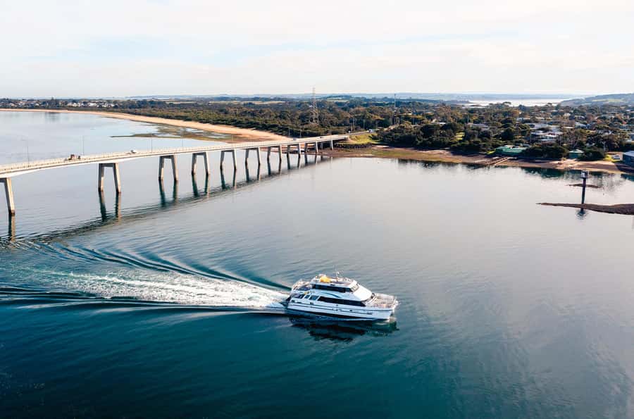 Phillip Island: 1-Hour Cape Woolamai Scenic Cruise - How the one-hour length affects value