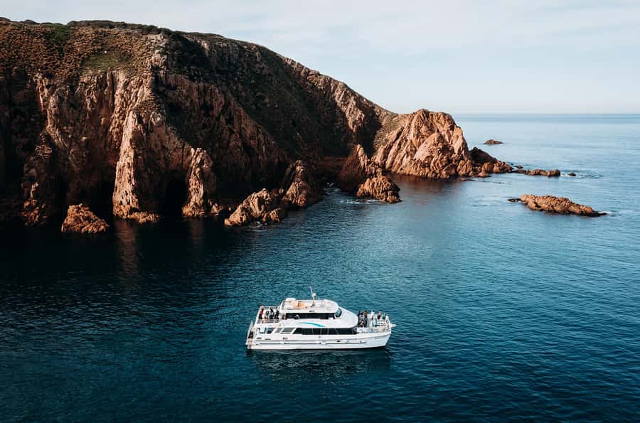 Phillip Island: 1-Hour Cape Woolamai Scenic Cruise - Commentary, comfort, and the practical weak spots