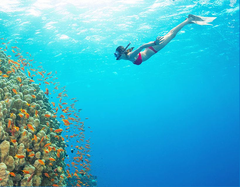 Phu Quoc: Speedboat Tour of 4 Islands with Snorkeling & BBQ - Why the small speedboat matters