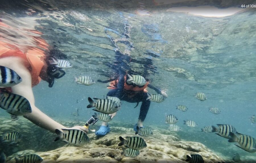 Phu Quoc: Speedboat Tour of 4 Islands with Snorkeling & BBQ - Practical things to pack