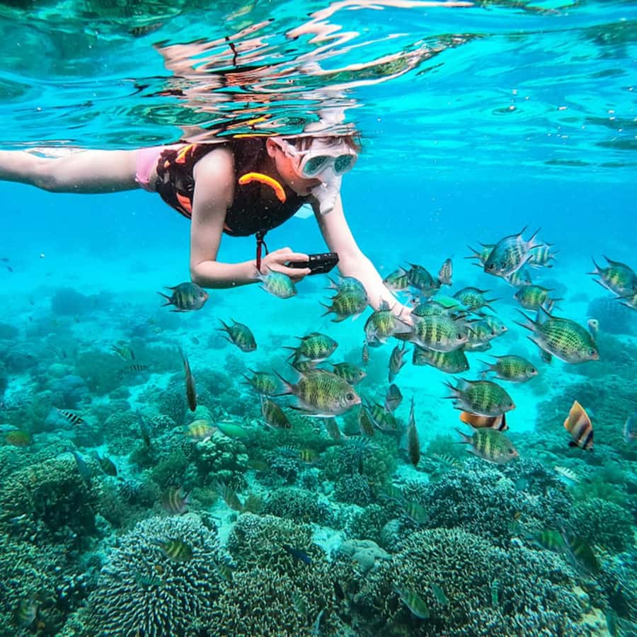 Phuket: Coral and Racha lslands Catamaran Tour with Lunch - What the $90 price really covers