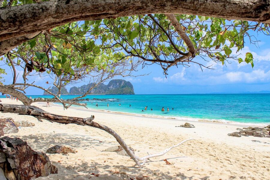 Phuket: Phi Phi Sunrise Boat Tour to Bamboo and Khai Island - What the crew does well