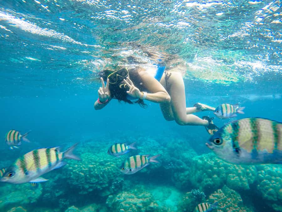 Phuket: Phi Phi Sunrise Boat Tour to Bamboo and Khai Island - Is $125 good value?