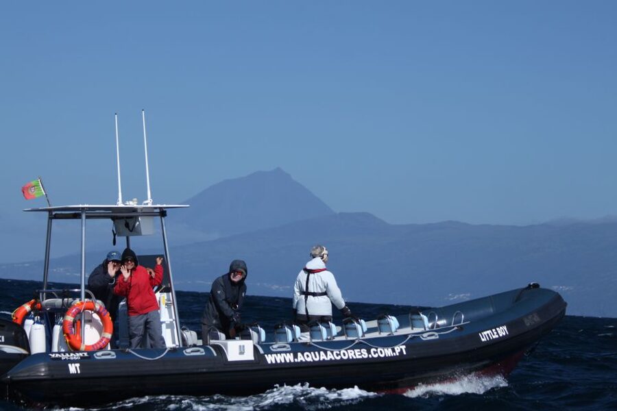 Pico Island: Azores Whale & Dolphin Watching on Zodiac Boat - Why this Pico whale-watching trip is worth considering