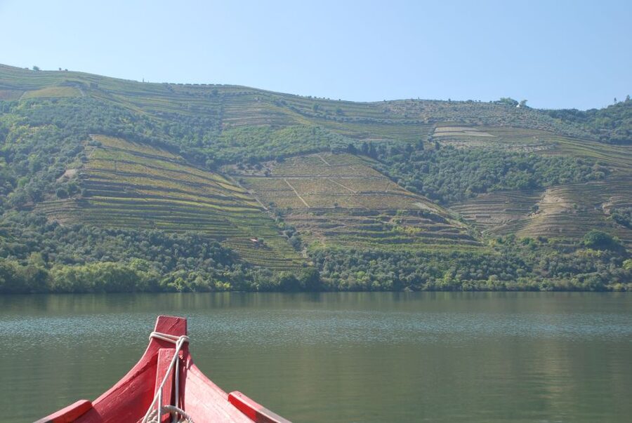 Pinhão: 2-Hour Rabelo Boat Tour with Audio Guide - Quinta do Bomfim and the first wine estates