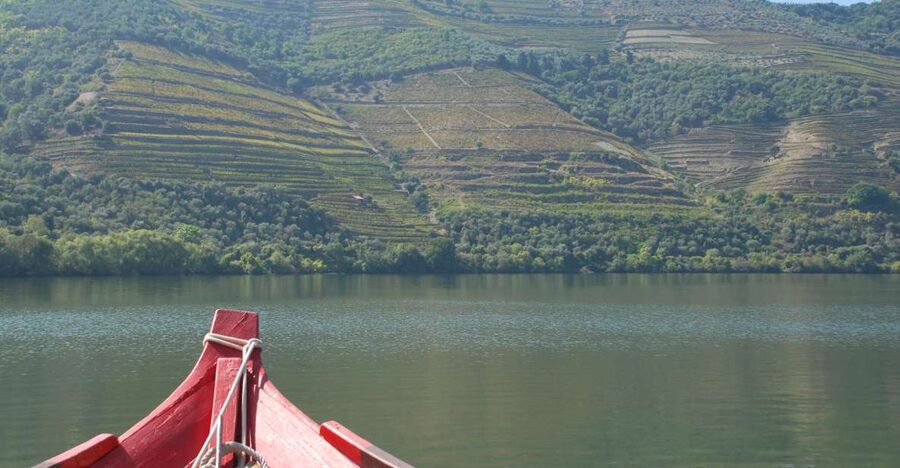 Pinhão: Rabelo Boat 1-Hour Tour - Key points to know before boarding