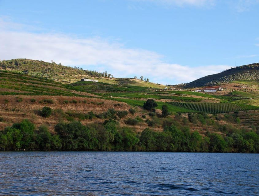 Pinhão: Rabelo Boat 1-Hour Tour - What you see along the route
