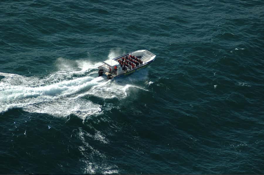 Plettenberg Bay: Whale Watching Boat Cruise - A beach launch with a serious boat beneath you