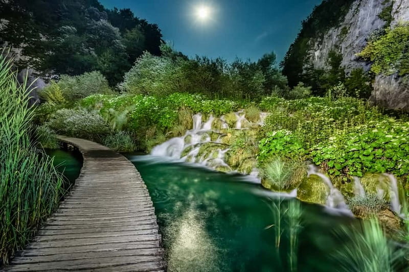 Plitvice Lakes: Guided Walking Tour with Bus and Boat Ride - The First Two Hours Along the Lower Lakes