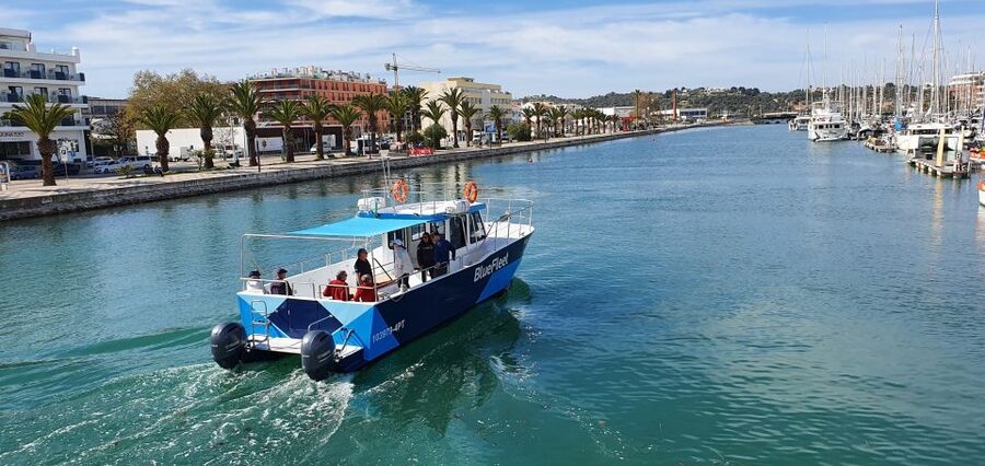 Ponta da Piedade: Half-Day Cruise with Lunch from Lagos - Sea conditions, comfort, and possible drawbacks